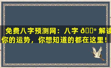 免费八字预测网：八字 💮 解读你的运势，你想知道的都在这里！